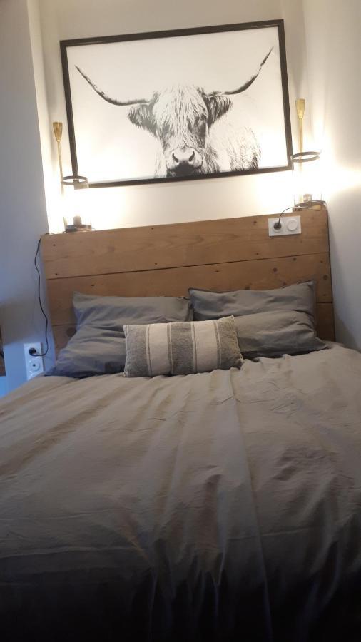 דירות Le Cosy Rock / Rent4Night גרנובל מראה חיצוני תמונה