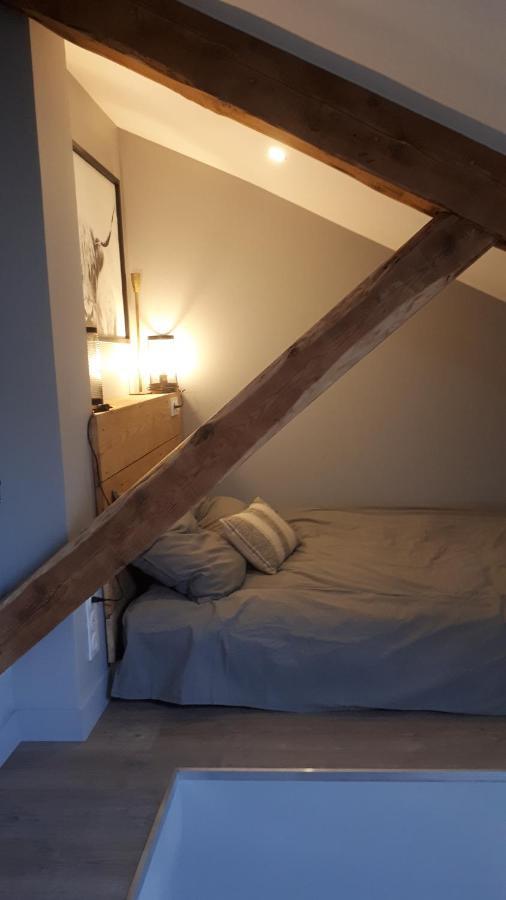 דירות Le Cosy Rock / Rent4Night גרנובל מראה חיצוני תמונה