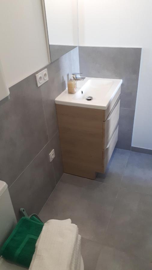 דירות Le Cosy Rock / Rent4Night גרנובל מראה חיצוני תמונה